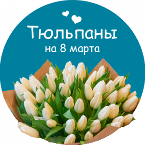 Купить тюльпаны в Константиновке
